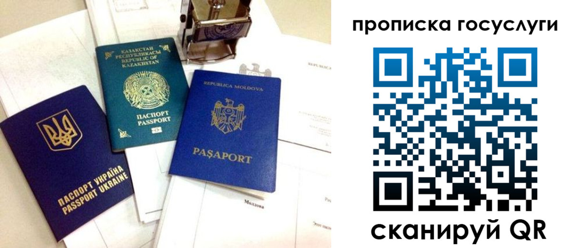 найти адрес прописки в Заполярном